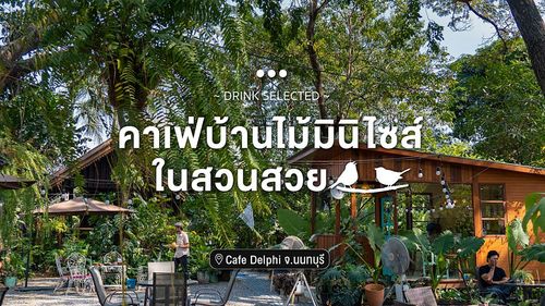 Cafe Delphi คาเฟ่บ้านไม้ มินิไซส์ ในสวนสวย